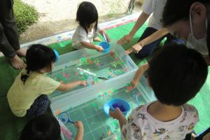 金魚すくい2歳