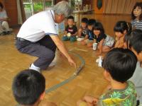 電車を走らせている様子を見ています