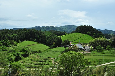 奈良市東部の様子