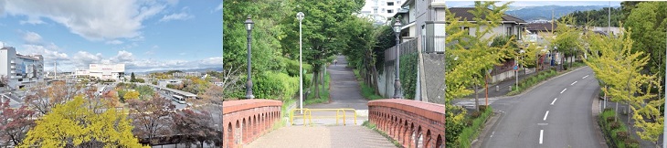 高の原駅周辺の街並み