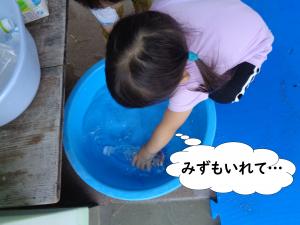 あさがお９