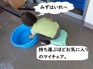 あさがお13