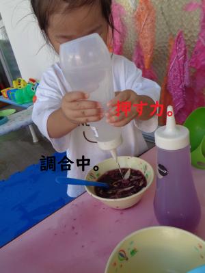あさがお7