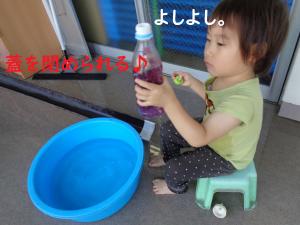 あさがお14