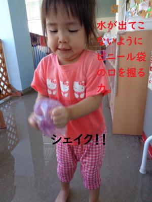 あさがお15