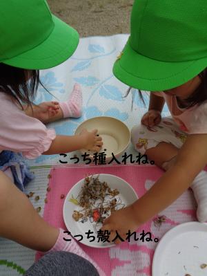 あさがお　い