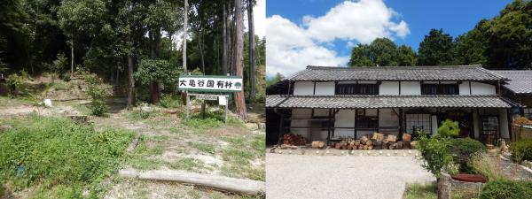 大亀谷国有林と赤膚山元窯の写真