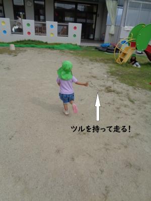 あさがお　こ