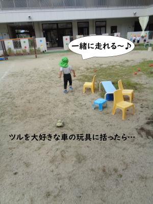 あさがお　し
