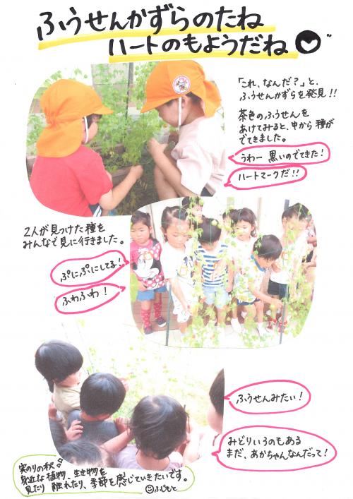 種