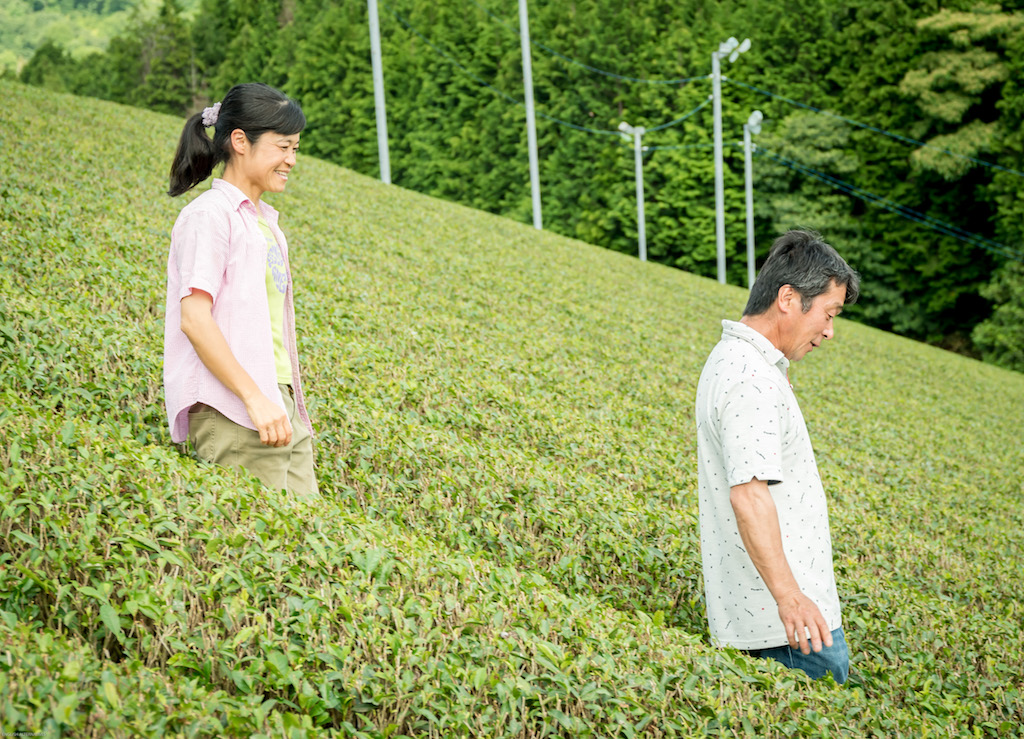 田原ナチュラル・ファーム (茶葉販売)の画像