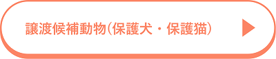 譲渡候補動物（保護犬・保護猫）のページへのリンク