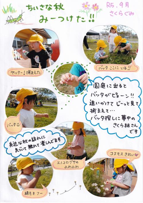 小さな秋を見つけました②