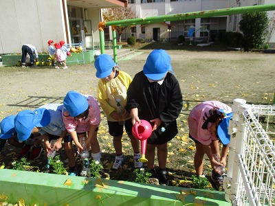 水やりの画像1