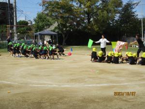 5歳つなひき