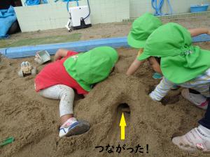 山づくり1