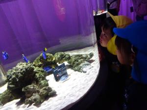 dori- 