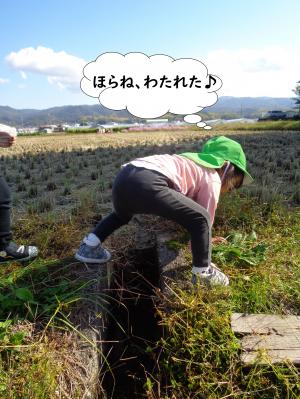 遠足3