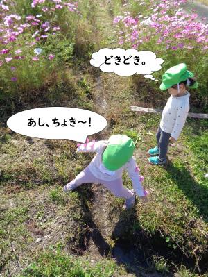 遠足５