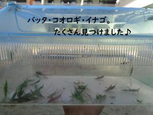 遠足13