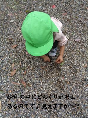 どんぐりさんぽ１