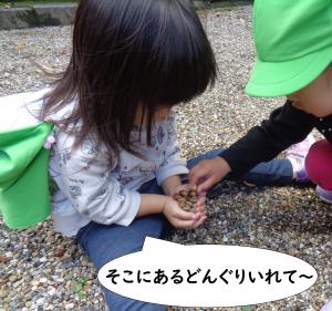 どんぐりさんぽ2