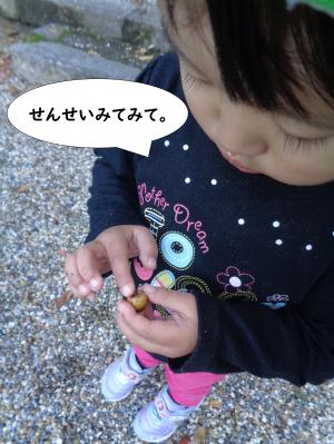 どんぐりさんぽ3