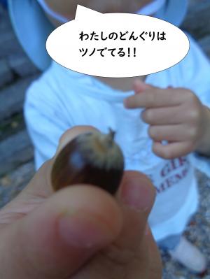 どんぐりさんぽ６