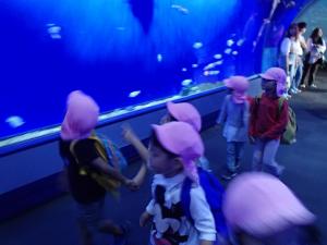 海遊館4歳2