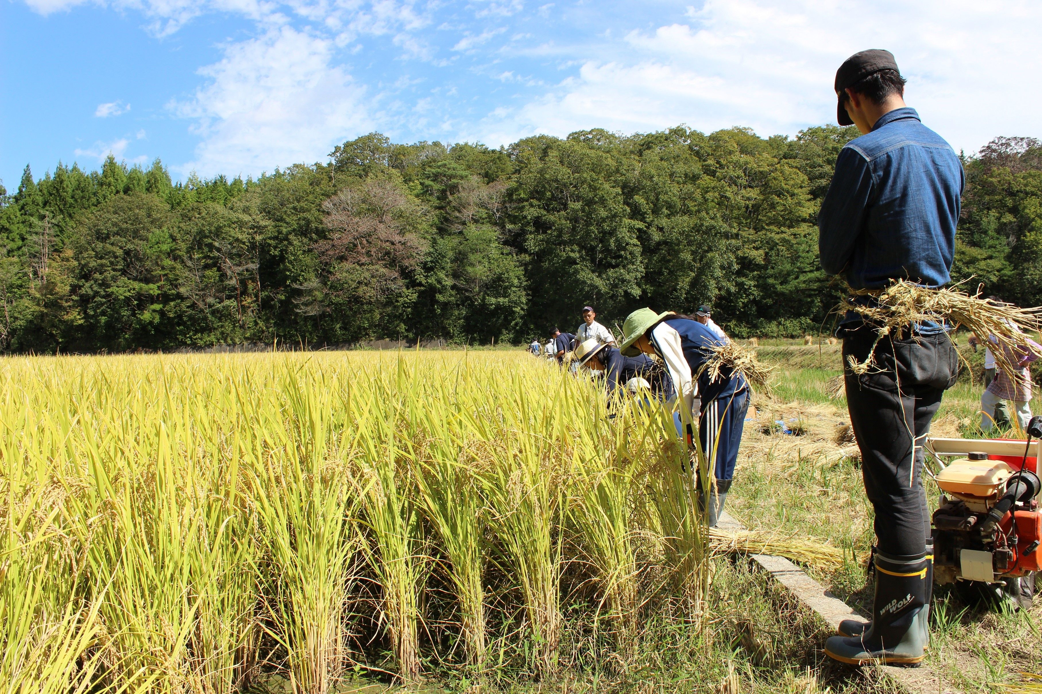 奈良県初!奈良市東部地域が「どぶろく特区」に認定(平成30年12月27日発表)の画像