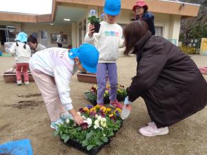 お花を選んでいます