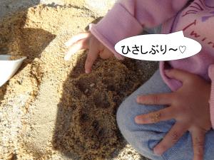 どんぐり遊び６