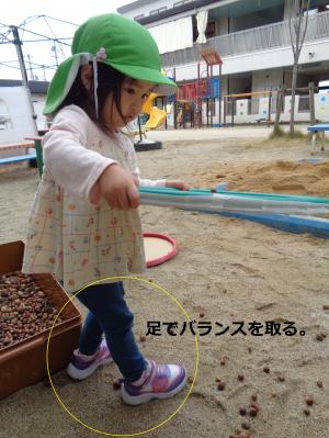 お盆ドングリ２