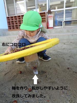 どんぐりころ