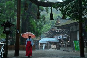 厳かな雨の日