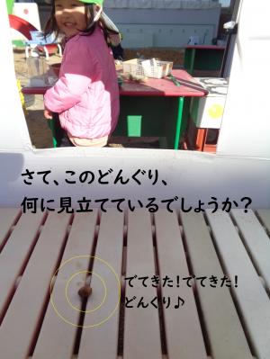 このどんぐりなににみたてているかわかる