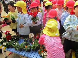 花の植え替えの画像4