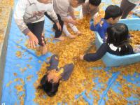 ５歳児落ち葉のふとんをかけて遊んでいます