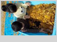 ３，４歳児　イチョウのお風呂に入っています