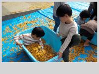 ３，４歳児イチョウのお風呂遊びをしています