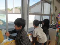 5歳児窓拭きをしています