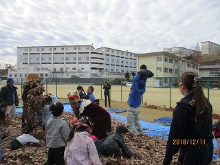 落ち葉のうみの画像8