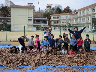 落ち葉のうみの画像16