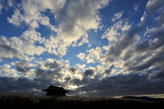 平城京の空