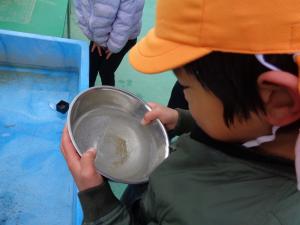 カチカチや・・・