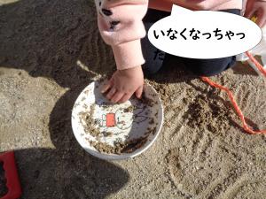 いなくなっちゃった