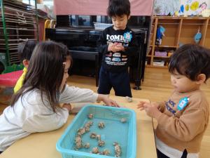 3歳児　豆づくり