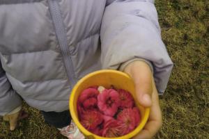 花びらを集める子ども達