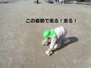 しせい