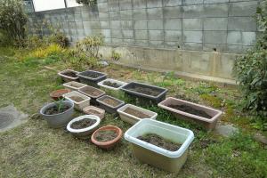 花を植えるためにプランターの土を入れました